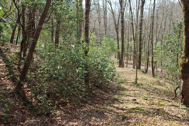 Lot 25 N Shelton Springs Drive, Hayesville, NC 28904