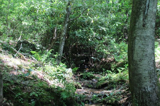 Lot 25 N Shelton Springs Drive, Hayesville, NC 28904