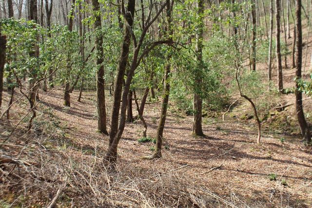 Lot 25 N Shelton Springs Drive, Hayesville, NC 28904