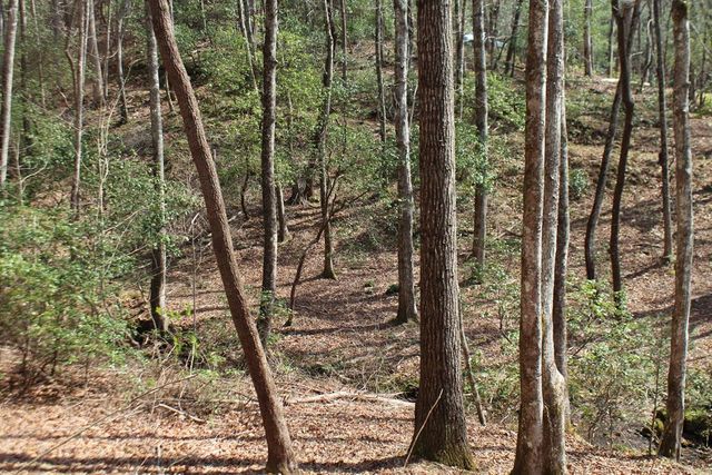 Lot 25 N Shelton Springs Drive, Hayesville, NC 28904
