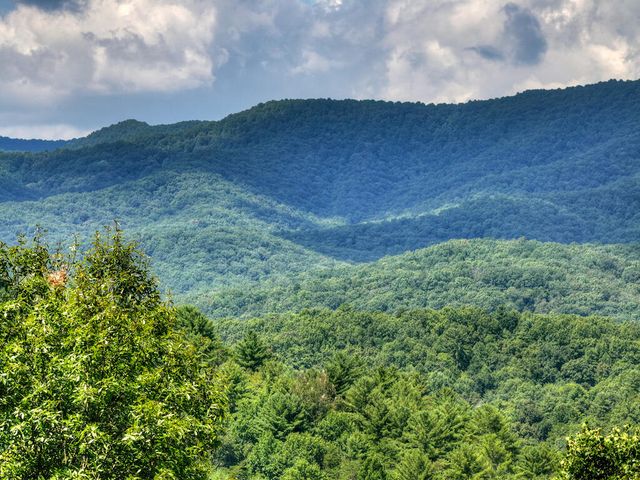 606 Cohutta Mountain Road, Cherry Log, GA 30522