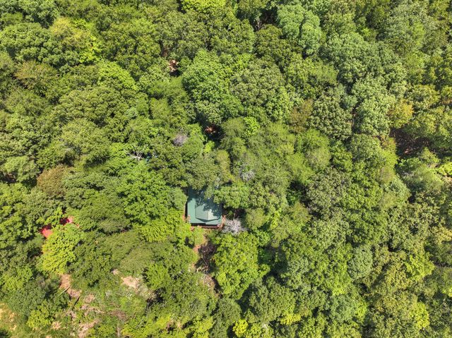 606 Cohutta Mountain Road, Cherry Log, GA 30522