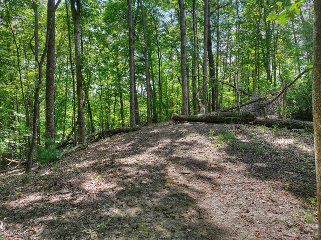 606 Cohutta Mountain Road, Cherry Log, GA 30522