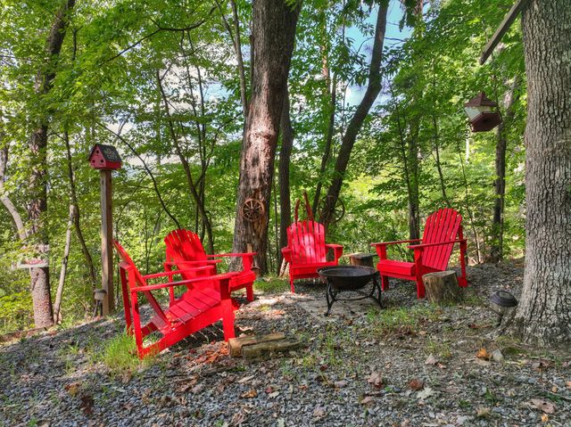 606 Cohutta Mountain Road, Cherry Log, GA 30522