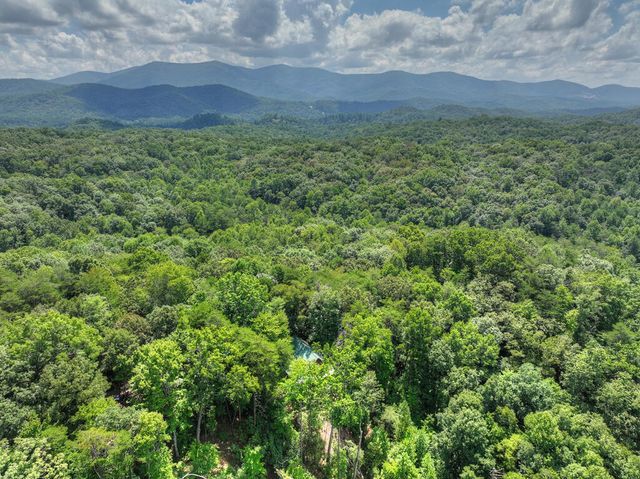 606 Cohutta Mountain Road, Cherry Log, GA 30522