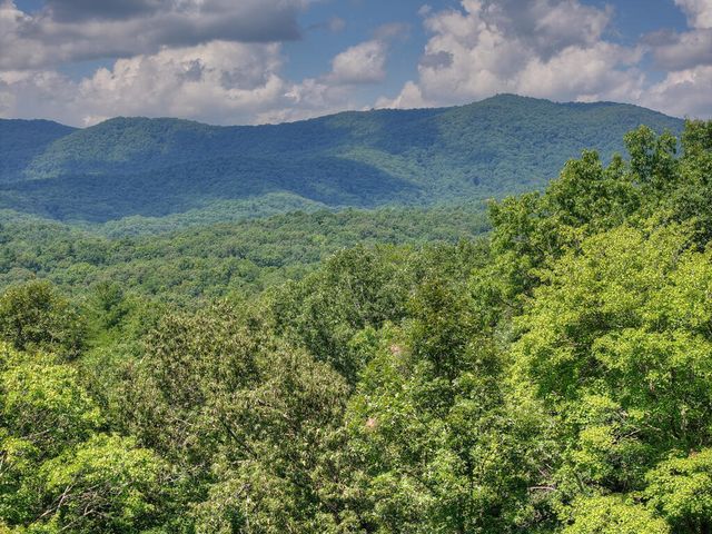 606 Cohutta Mountain Road, Cherry Log, GA 30522