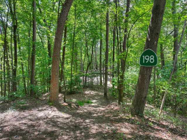 606 Cohutta Mountain Road, Cherry Log, GA 30522