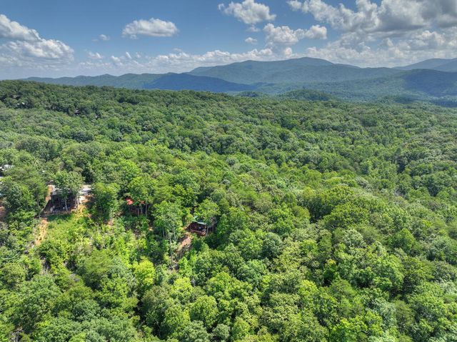 606 Cohutta Mountain Road, Cherry Log, GA 30522