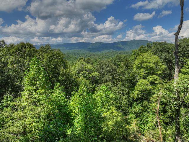 606 Cohutta Mountain Road, Cherry Log, GA 30522