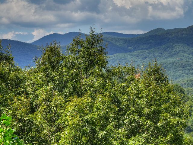 606 Cohutta Mountain Road, Cherry Log, GA 30522