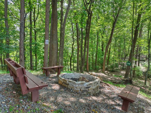 606 Cohutta Mountain Road, Cherry Log, GA 30522