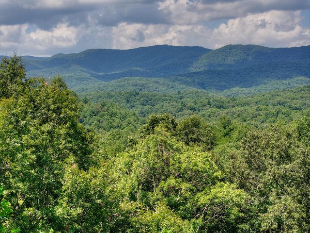 606 Cohutta Mountain Road, Cherry Log, GA 30522