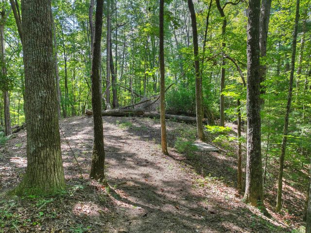 606 Cohutta Mountain Road, Cherry Log, GA 30522