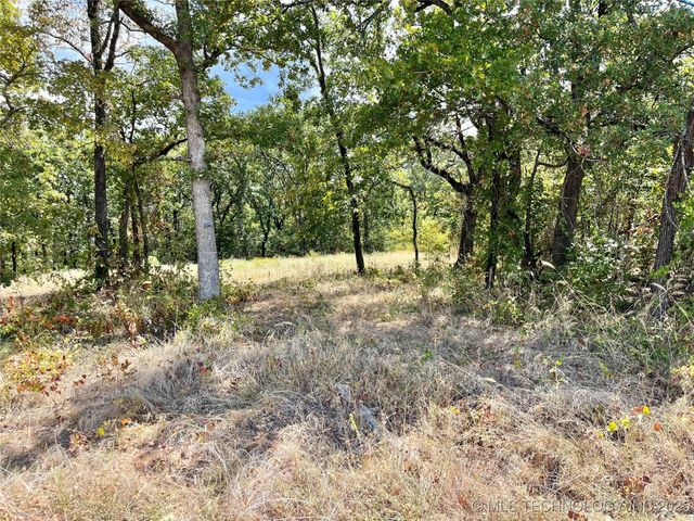 Texoma Park Road, Kingston, OK 73439