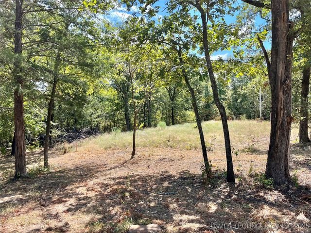 Texoma Park Road, Kingston, OK 73439