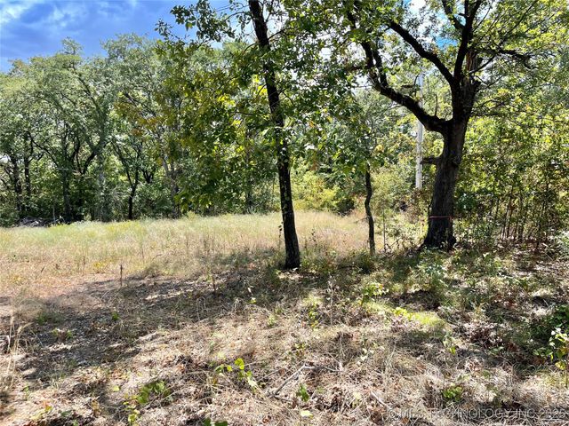 Texoma Park Road, Kingston, OK 73439