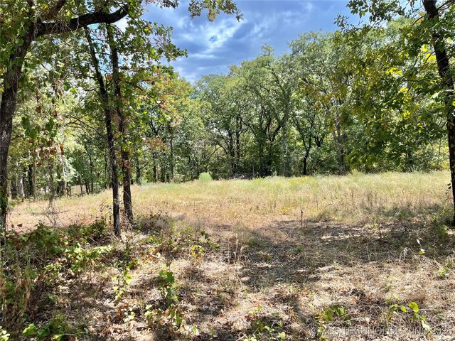 Texoma Park Road, Kingston, OK 73439
