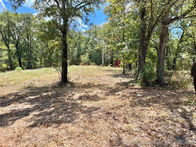 Texoma Park Road, Kingston, OK 73439
