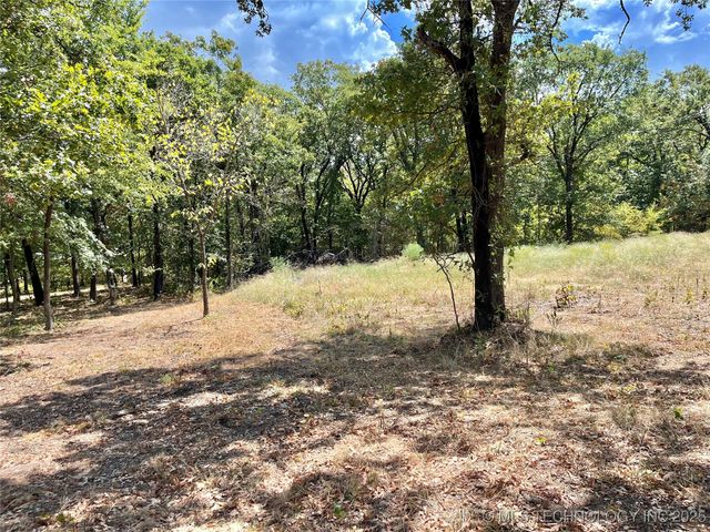 Texoma Park Road, Kingston, OK 73439