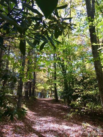 65 Blue Ridge Gem Mine Road, Little Switzerland, NC 28777