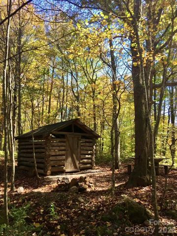 65 Blue Ridge Gem Mine Road, Little Switzerland, NC 28777