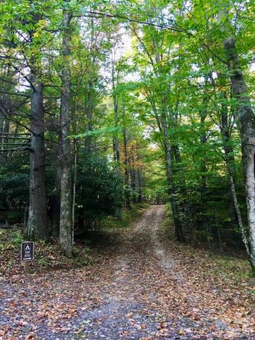 65 Blue Ridge Gem Mine Road, Little Switzerland, NC 28777