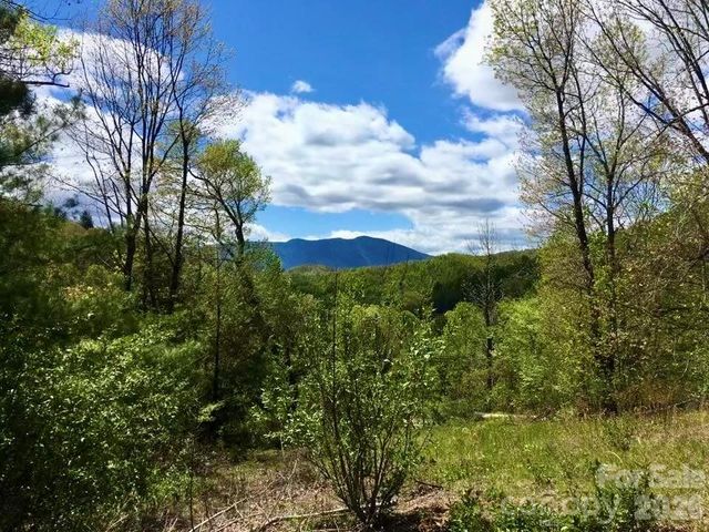65 Blue Ridge Gem Mine Road, Little Switzerland, NC 28777