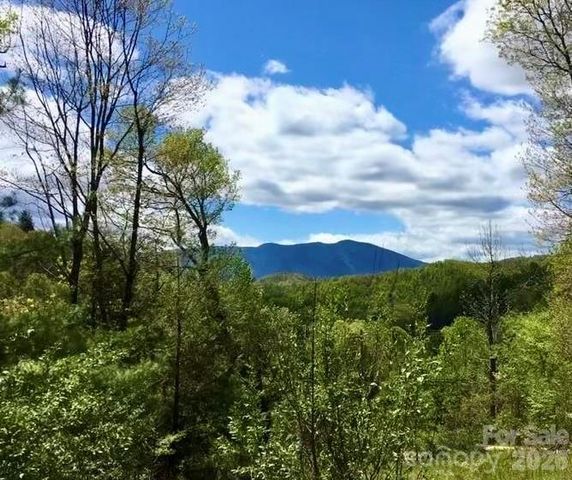 65 Blue Ridge Gem Mine Road, Little Switzerland, NC 28777