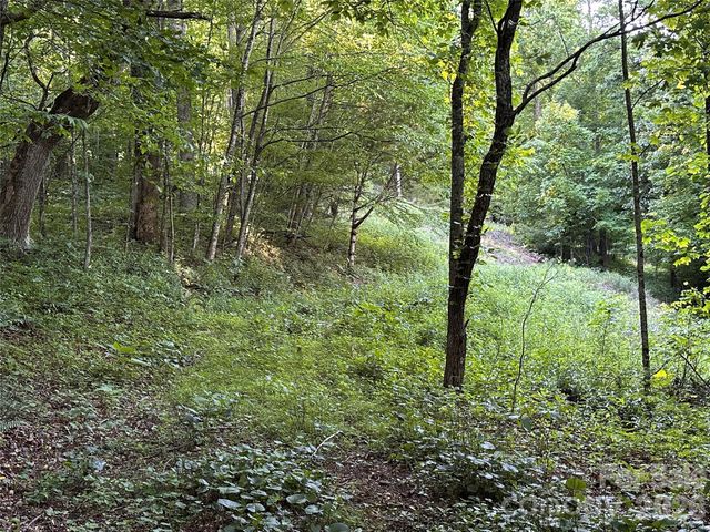 65 Blue Ridge Gem Mine Road, Little Switzerland, NC 28777