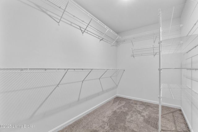 7036 Train Station Way, Louisville, KY 40272