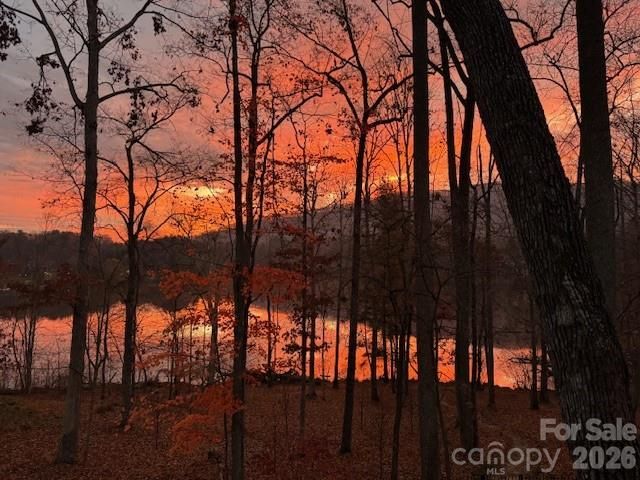 47 Twilight Sedge Drive, Biltmore Lake, NC 28715