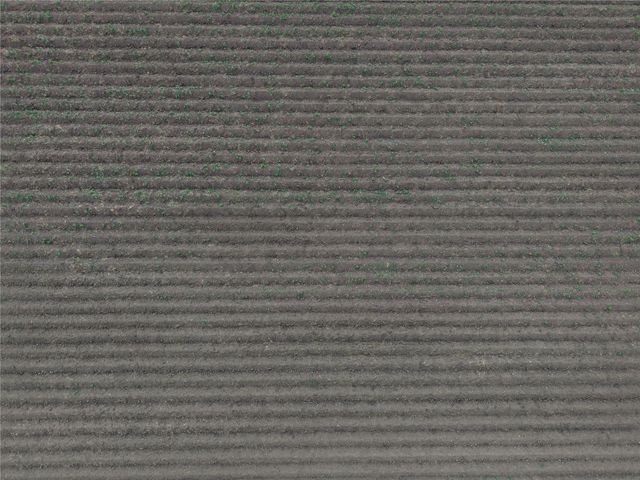 14292 Hwy 90 Alt, East Bernard, TX 77435