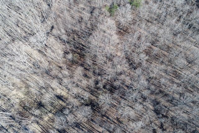 0 Old Altamont Rd, Tracy City, TN 37387