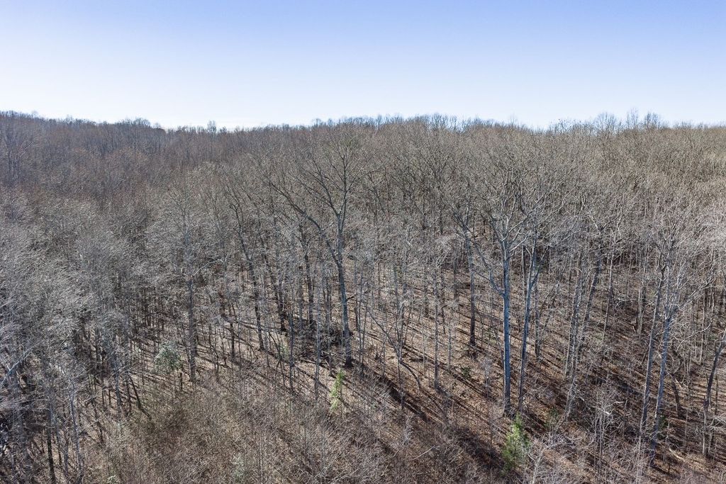 0 Old Altamont Rd, Tracy City, TN 37387