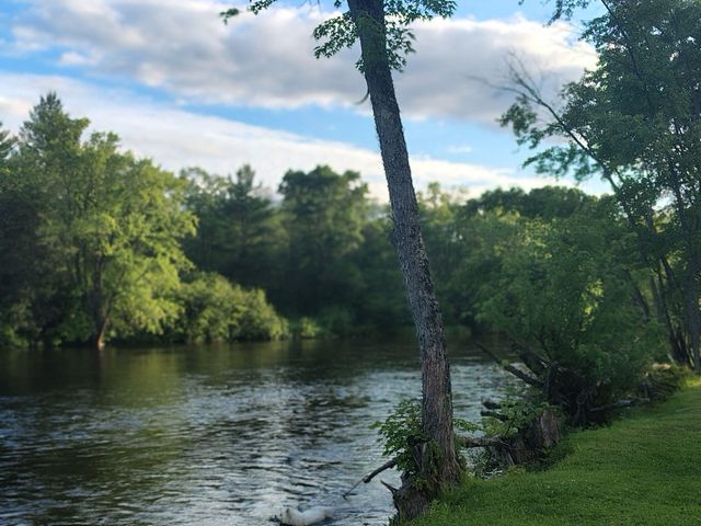 12581 Riverbend Road, Hersey Twp, MI 49631
