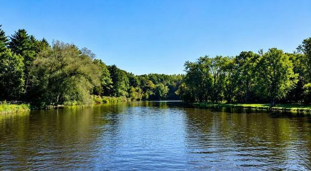 12581 Riverbend Road, Hersey Twp, MI 49631