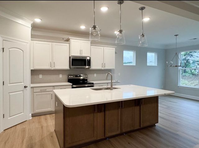 1020 Horse Whisper Run, Landrum, SC 29356