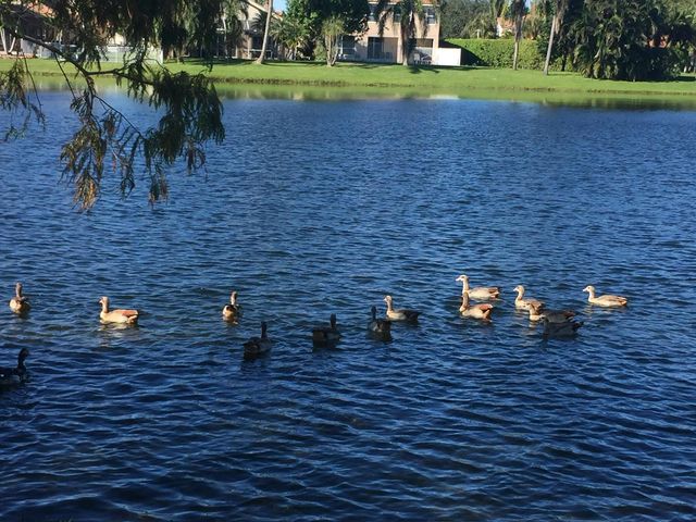 7418 Wescott Terrace, Lake Worth, FL 33467