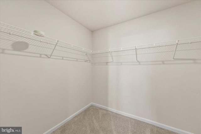 39229 MISTY LN, Millville, DE 19967