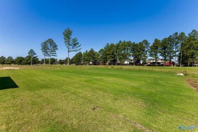 12566 Spyglass Lane, Athens, AL 35613
