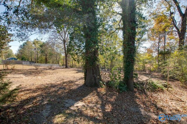 1007 Freemont Street, Decatur, AL 35601