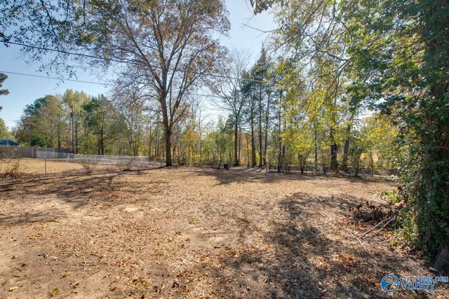 1007 Freemont Street, Decatur, AL 35601