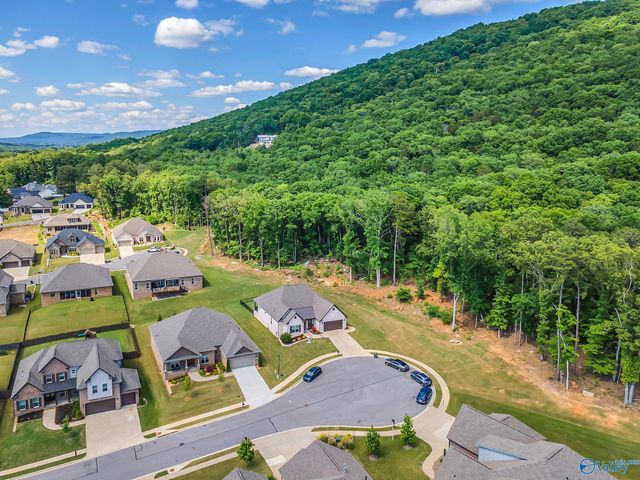 1311 Pecan Point Way SE, Huntsville, AL 35803