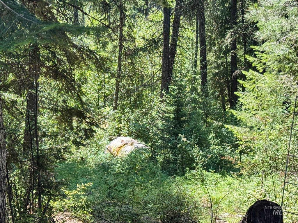 5110 Highway 95, New Meadows, ID 83654 photo 18