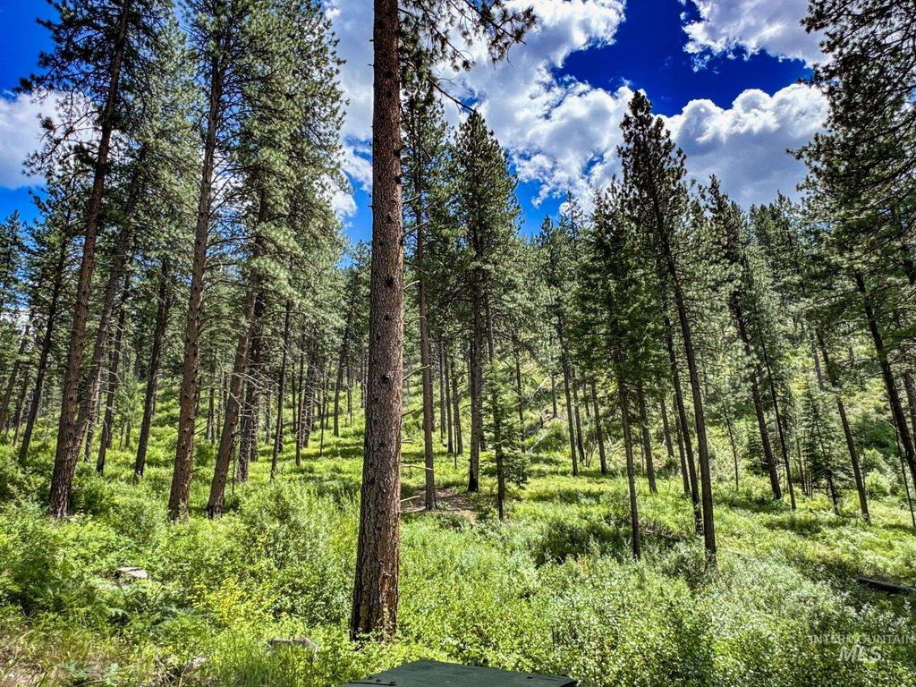 5110 Highway 95, New Meadows, ID 83654 photo 23