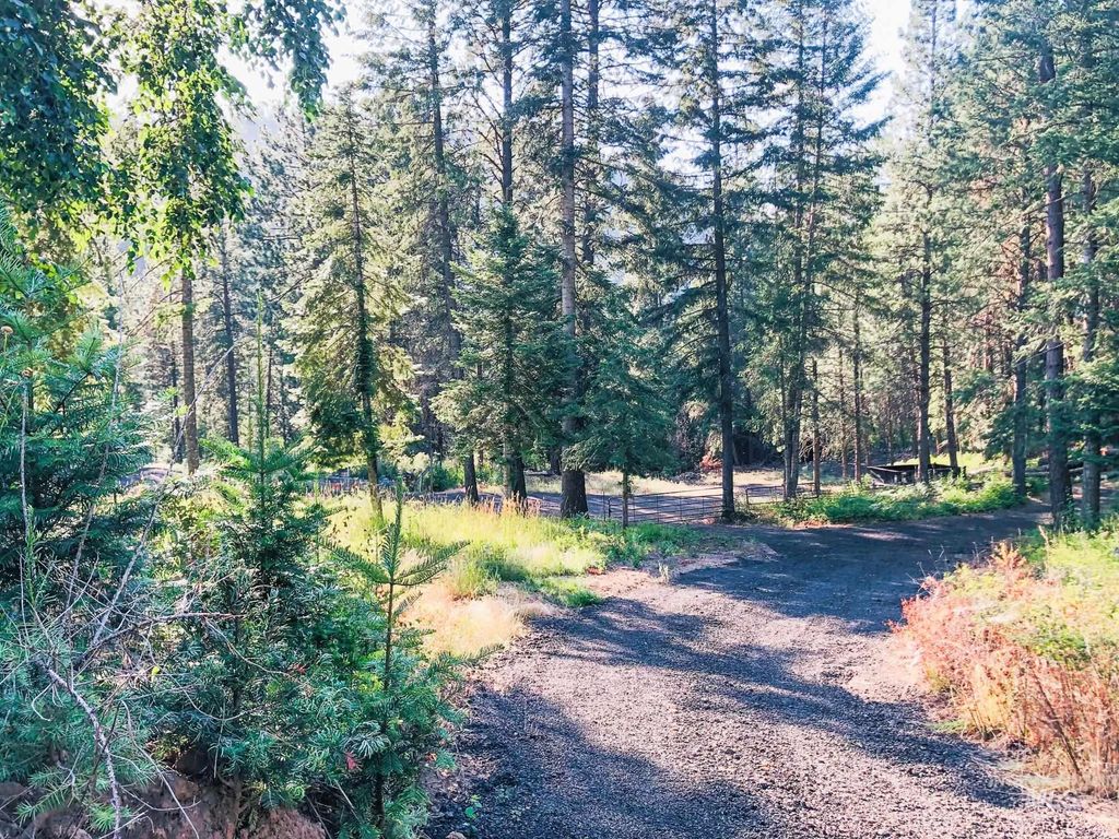 5110 Highway 95, New Meadows, ID 83654 photo 24