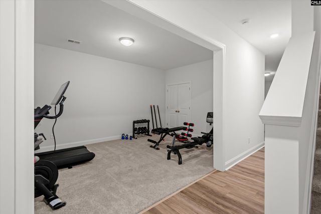 719 Cold Springs Lane, Irmo, SC 29063