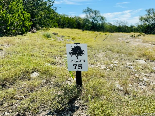 LOT 75 Pinnacle Dr, Fredericksburg, TX 78624