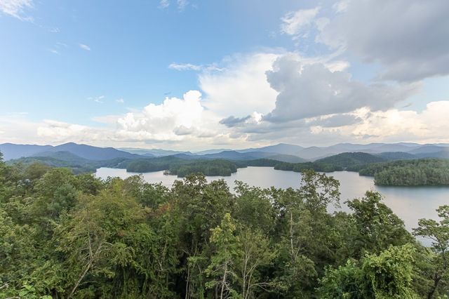 1 Cheoah Trail, Lake Santeetlah, NC 28771