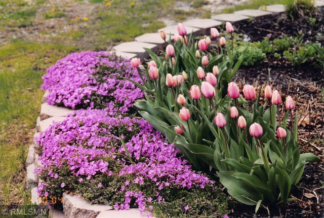 5770 Main Street W, Maple Plain, MN 55359